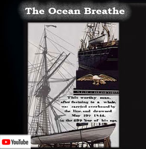 The Ocean Breathe